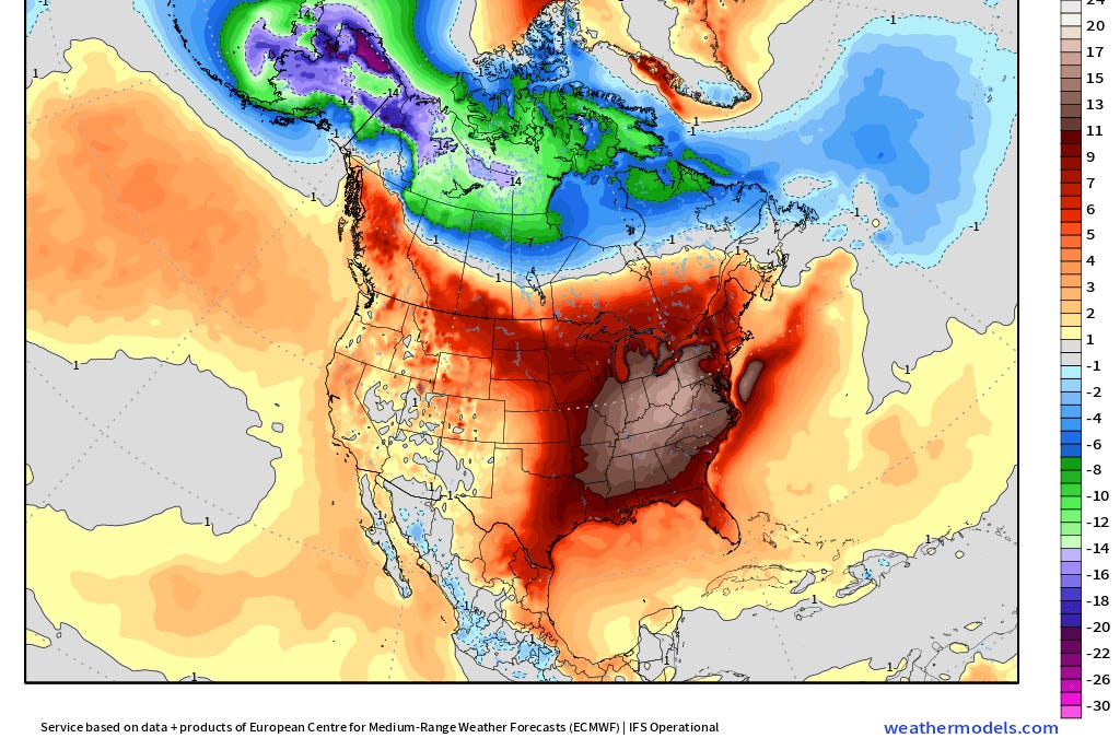Warm February 25, 2026: Bretagne basks in 18-20°C Sunshine